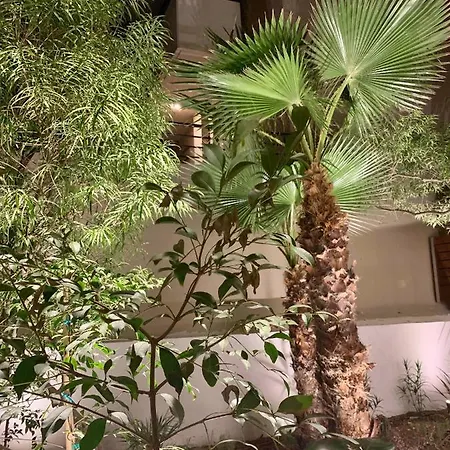 Aparthotel Pavo Art Candia